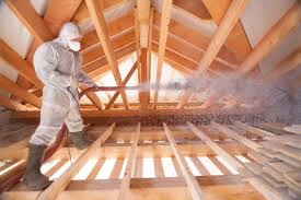 Best Radiant Barrier Insulation  in Travis Ranch, TX