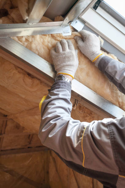 Best Basement Insulation  in Travis Ranch, TX